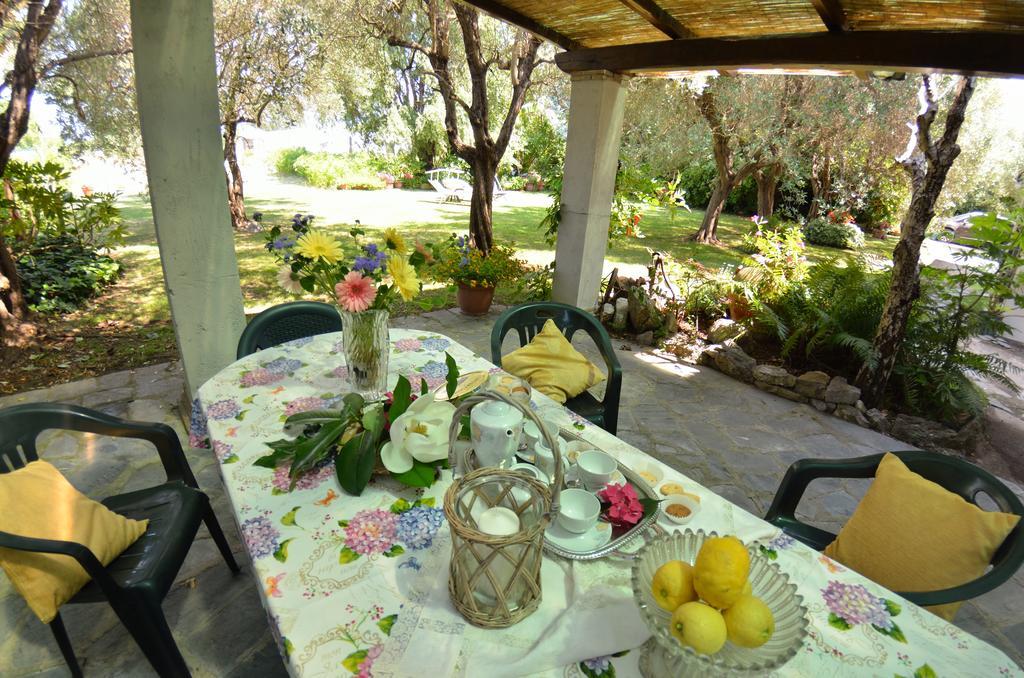 Casa Romana Viareggio Exterior foto